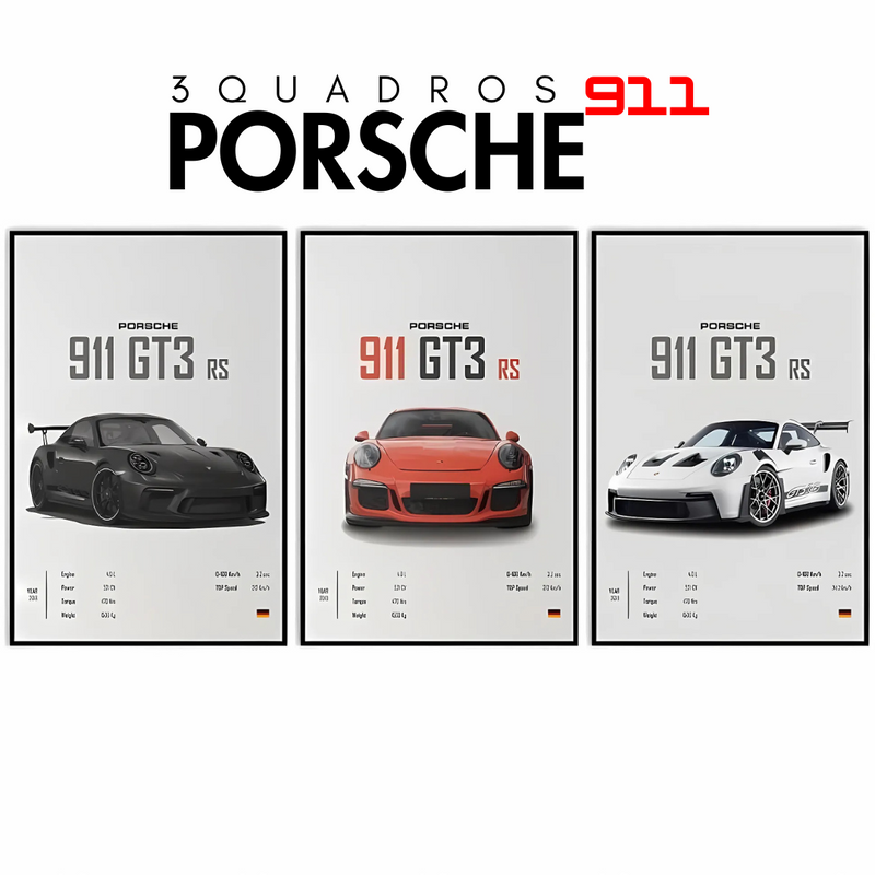 3 Quadro Decorativo Porsche 911 GT3 RS